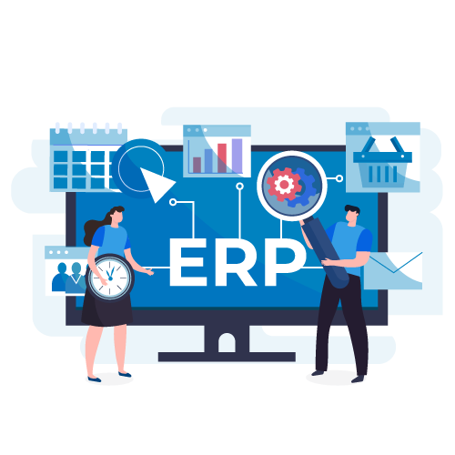 ERP Development Testing Services